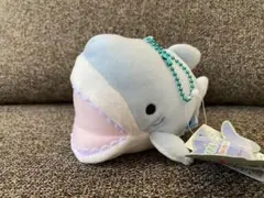 2026年最新】もちっこサメさんの人気アイテム - メルカリ