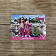 ディズニーパルパルーザ　ミッキー　グーフィー　コレクションカード