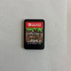 Minecraft Nintendo Switch ソフト 本体