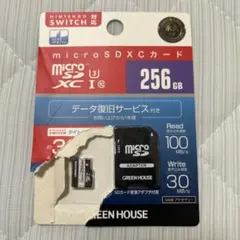 GREEN HOUSE microSDXC 256GB 変換アダプタ付