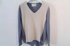 BEIGE Vネックバイカラーニットのサムネイル