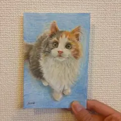 絵画 油彩 真作 今井ロジン 「子猫」 0号 「一枚の繪」より購入 茶白の