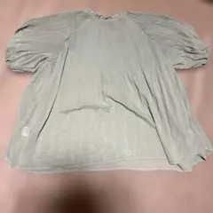 earth music&ecologyシフォンプリーツ2wayブラウス