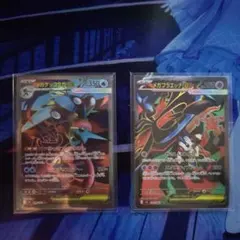 メガゲッコウガex SR 他AR 汎用SR等まとめ売り