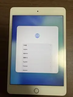 ☆美品☆iPad mini5 256GB バッテリー97% カドスレ有り - メルカリ