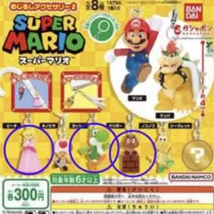 スーパーマリオ カプセルトイ めじるしアクセサリー2 3個セット
