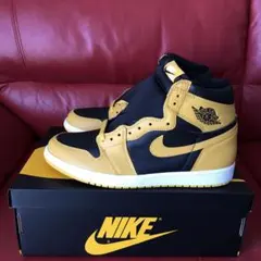 NIKEエアジョーダン1ハイogパラン！新品未使用！