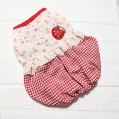 最終SALE♥犬服ハンドメイド♥いちごちゃん刺繍生地とチェックのバルーンワンピ
