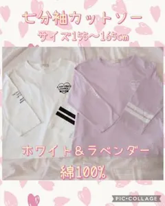 七分袖カットソー 2枚セット ホワイト×ラベンダー