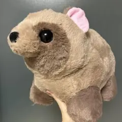 最終値下げ　たぬきのぽんぽん　BIGぬいぐるみ　タヌキ　狸