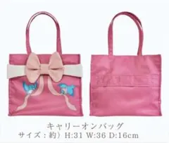 しまむら　ちはる　ディズニー　シンデレラ　ハッピーバッグ　キャリーオンバッグのみ