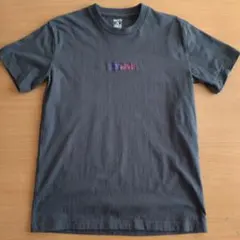 BEN DAVIS　レディース　Tシャツ　チャコール系？