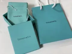 Tiffany & Co. ショップ袋 箱 巾着 セットのサムネイル