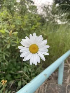 Item thumbnail for item b33400c6-16d9-4d19-93d5-12bed4f81e4c