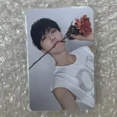 seventeen 17 is right here Dear盤 ホシ