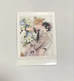 BLT2026 購入特典 ぱしゃこれ 海辺のエトランゼ 紀伊カンナ - メルカリ