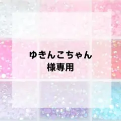 ゆきんこちゃん様専用ページ