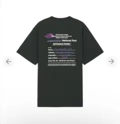 the north face ノースフェイス tシャツ ブラック s