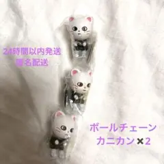 ３個セット　straykids スキズ SKZOO ガチャ ジニレット