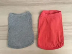犬服　Tシャツ 2枚セット