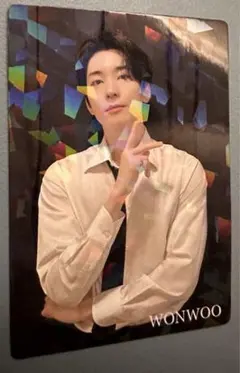 匿名●ウォヌ 전원우 WONWOO SEVENTEEN 更新特典 ホロ FC