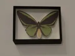 Item thumbnail for item bfb6175e-710c-44d3-ad13-736e6740040f