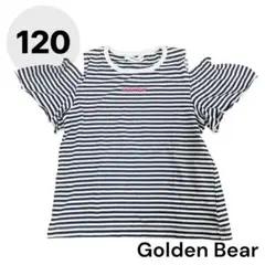 女の子　半袖Tシャツ　ボーダー ゴールデンベア　120cmのサムネイル