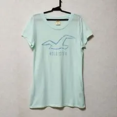 Hollister 半袖 Tシャツ Mサイズ