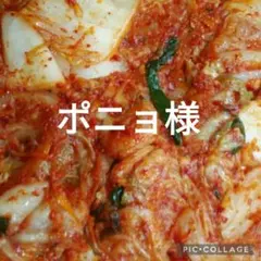 ポニョ様専用です。