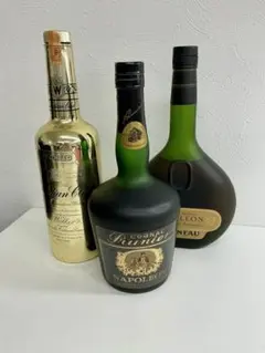 最終値下げ】【古酒セット】NAPOLEON 他 ブランデー 4本セット - メルカリ