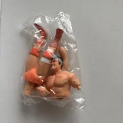 YUJIN SR SERIES 全日本プロレス 王道メイン フィギュア 小橋建太のサムネイル