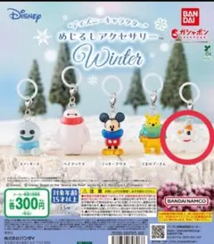 ディズニーめじるしアクセサリーWinter