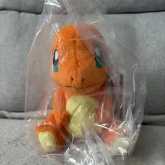 即日発送】中国ポケモンセンター限定 ヒトカゲ ぬいぐるみ タグ付 