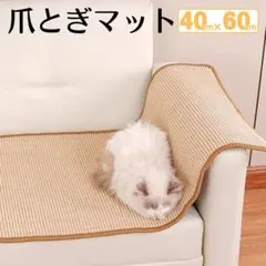 Item thumbnail for item 3b15d1da-ced0-4dfb-9ba2-e5c7c50732e8