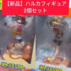 【新品】ポケモン ハルカ フィギュア アチャモ