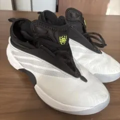 adidas DON Issue 7 バスケットボールシューズ　インソールなしのサムネイル