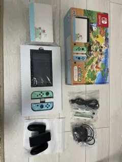 Nintendo Switch どうぶつの森セット　完品　公式本体ケース付き