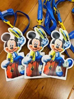 バケーションパッケージ　ショルダーバッグ　3点　ディズニーリゾート