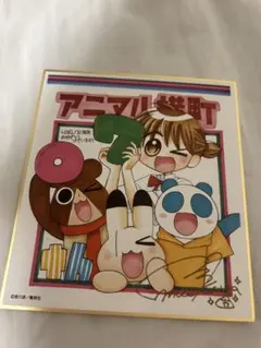 りぼん展　サイン入り色紙コレクション　全19種セット 2025年最新】りぼん サイン色紙の人気アイテム - メルカリ