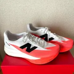 Item thumbnail for item a5d4c577-623c-4c8d-bcb4-c906c2ee2f78