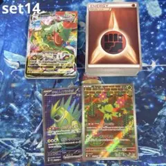 【set14】ポケモンカード まとめ売り 100枚 引退品