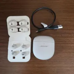 Bose イヤホンケース 充電ケース 　ホワイトスモークのサムネイル