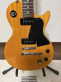 2025年最新】epiphone ハードケースの人気アイテム - メルカリ