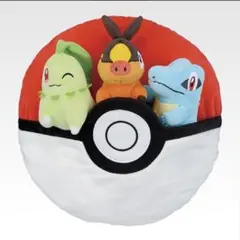 【A賞】ぬいぐるみ付きゲームクッション【一番くじ ポケモン】