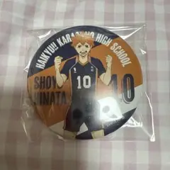 2025年最新】日向翔陽缶バッジの人気アイテム - メルカリ