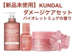 【新品未使用】［KUNDAL/クンダル］ダメージケアセットプロテインダメージケア