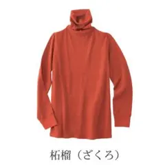 Item thumbnail for item 79a16431-3bd8-47fc-aec0-81c3da229011