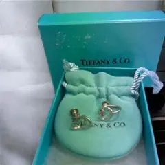 【お買い得⭐️】Tiffany & Co. エルサペレッティハート　イヤリング