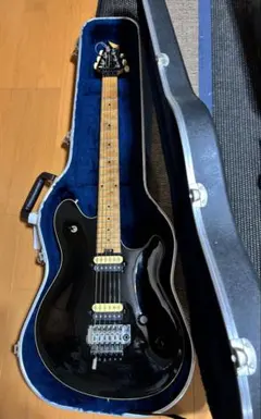 GODIN SOLIDAC Two Voice BLACK PEARL ギター - メルカリ