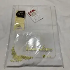 Item thumbnail for item 50cb4cab-b5d1-4ff8-8f89-3df69336a7c4